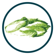 Logo Groenlof