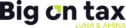 Logo Big on Tax