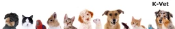 Logo K-VET
