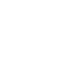 Logo STIMULAR