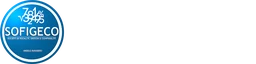 Logo SOFIGECO 2.0