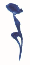 Logo PATOU SAINT GERMAIN