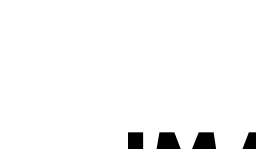 Logo Imaxx
