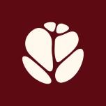 Logo REFLET DU NAFS