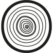 Logo STRONX