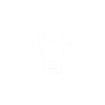 Logo BBruT
