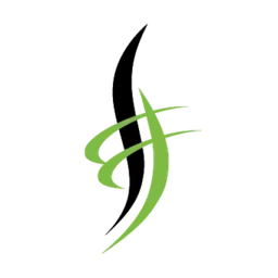 Logo CARBON IMPULSE SAS
