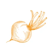 Logo DAMFRA