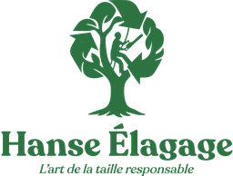 Logo HANSE Group