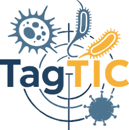 Logo TAGTIC