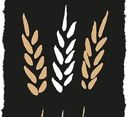 Logo Moulin de Tongrinne