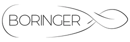 Logo BORINGER