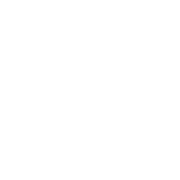 Logo INDUCTIVE