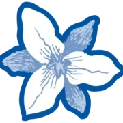 Logo Ribo