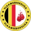Logo Vlaamse Boks Liga vzw