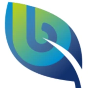 Logo BRIGHT RENEWABLES BV