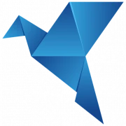 Logo BIRDIE CONSULTING