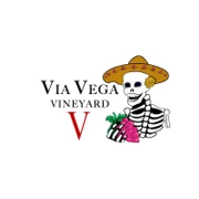 Logo VIA VEGA
