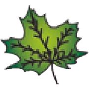 Logo LET IT GROW