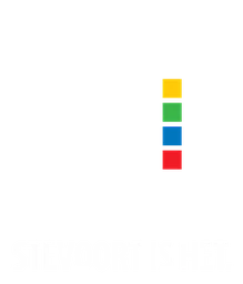 Logo DORPSRAAD STEVOORT