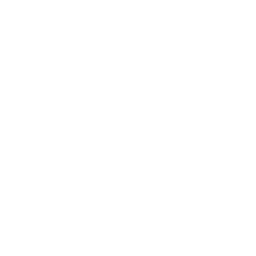 Logo ALL THE WAY UP
