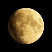 Logo Moon Phase