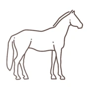 Logo DE DREVE