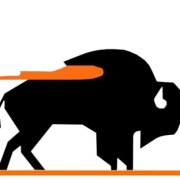 Logo BISON CONTAINER LINES