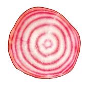 Logo Nele Joris