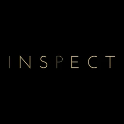 Logo Inspect