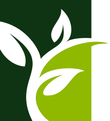 Logo INTASA