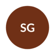 Logo Solid Ground Consulting