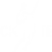 Logo LAROCK TENNIS