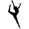 Logo DANSA