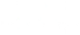 Logo DN Premium Services