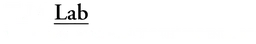 Logo T.M. LAB.