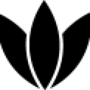 Logo LOTUS NOIR