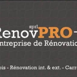 Logo RENOV PRO PLUS