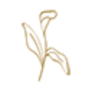 Logo Studio Zenn