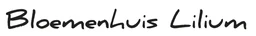 Logo Van Caelenberg
