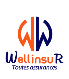 Logo WELLINSUR