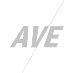 Logo AVE VANHAMME & CO