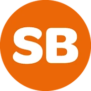 Logo DS Smart Consulting