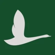Logo Goose