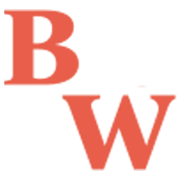 Logo BRICKWISE CONTROLS