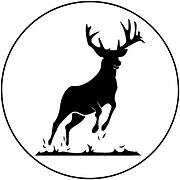 Logo DHONDT CAREERS
