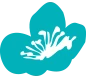 Logo INDOCHINE WELLNESS