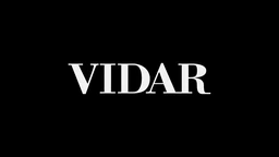 Logo VIDAR