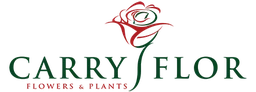 Logo CARRY FLOR