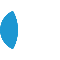 Logo Domus Team